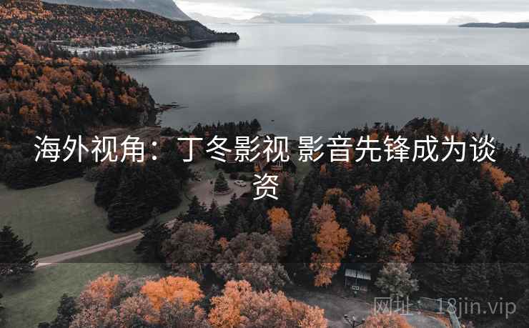 海外视角：丁冬影视 影音先锋成为谈资
